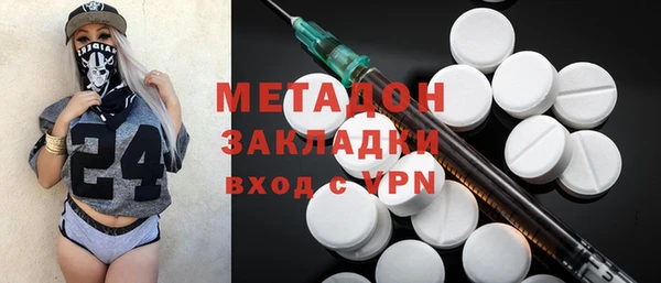 прущие грибы Алзамай