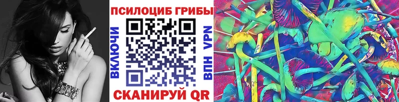 Псилоцибиновые грибы мицелий  Анива 